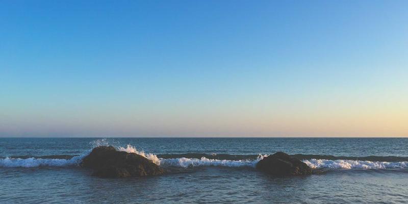 供应链优化与风险管理：如何通过战略规划与领导力发展构建企业价值链韧性