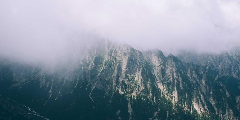 新视野咨询：企业文化变革中管理咨询的关键角色与实施路径