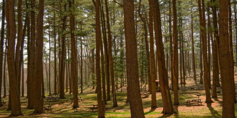 管理咨询87：如何通过运营优化与战略规划实现企业新突破