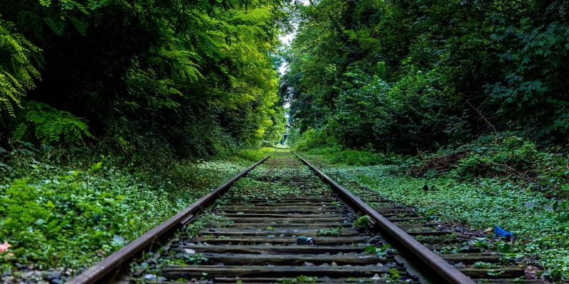 管理咨询95：运营优化与企业培训双轮驱动，赋能企业长效发展