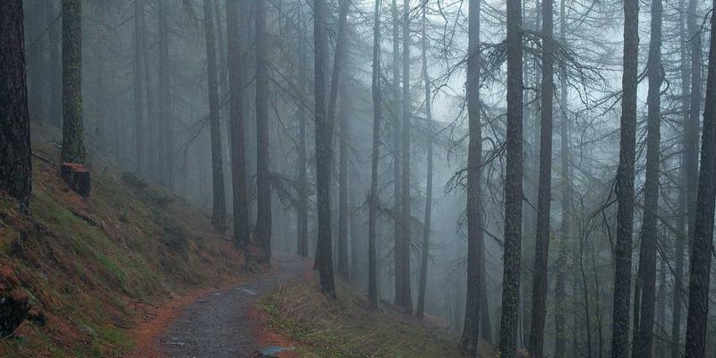 管理咨询三大核心技巧：战略规划与领导力发展的协同之道