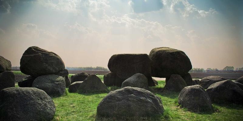 管理咨询与战略规划落地指南：领导力发展如何驱动变革成功