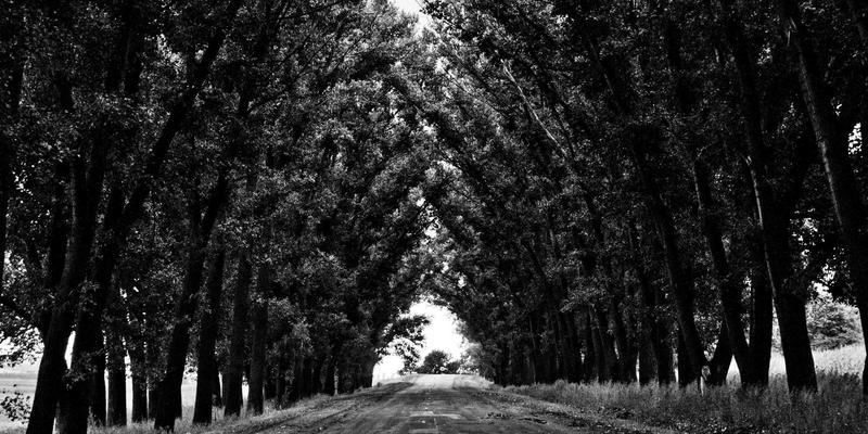 管理咨询如何驱动并购后整合：以战略规划、文化融合与运营优化释放协同价值