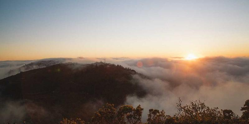管理咨询攻略：新视野咨询如何通过运营优化驱动企业持续增长