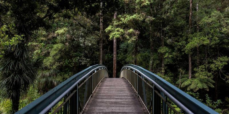 领导力发展、企业培训与管理咨询:如何选择最适合的组织赋能方案?